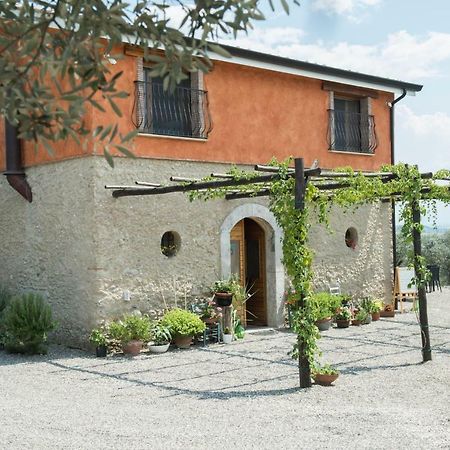 B&B Rifugio Tra Gli Ulivi Campagna Exterior foto