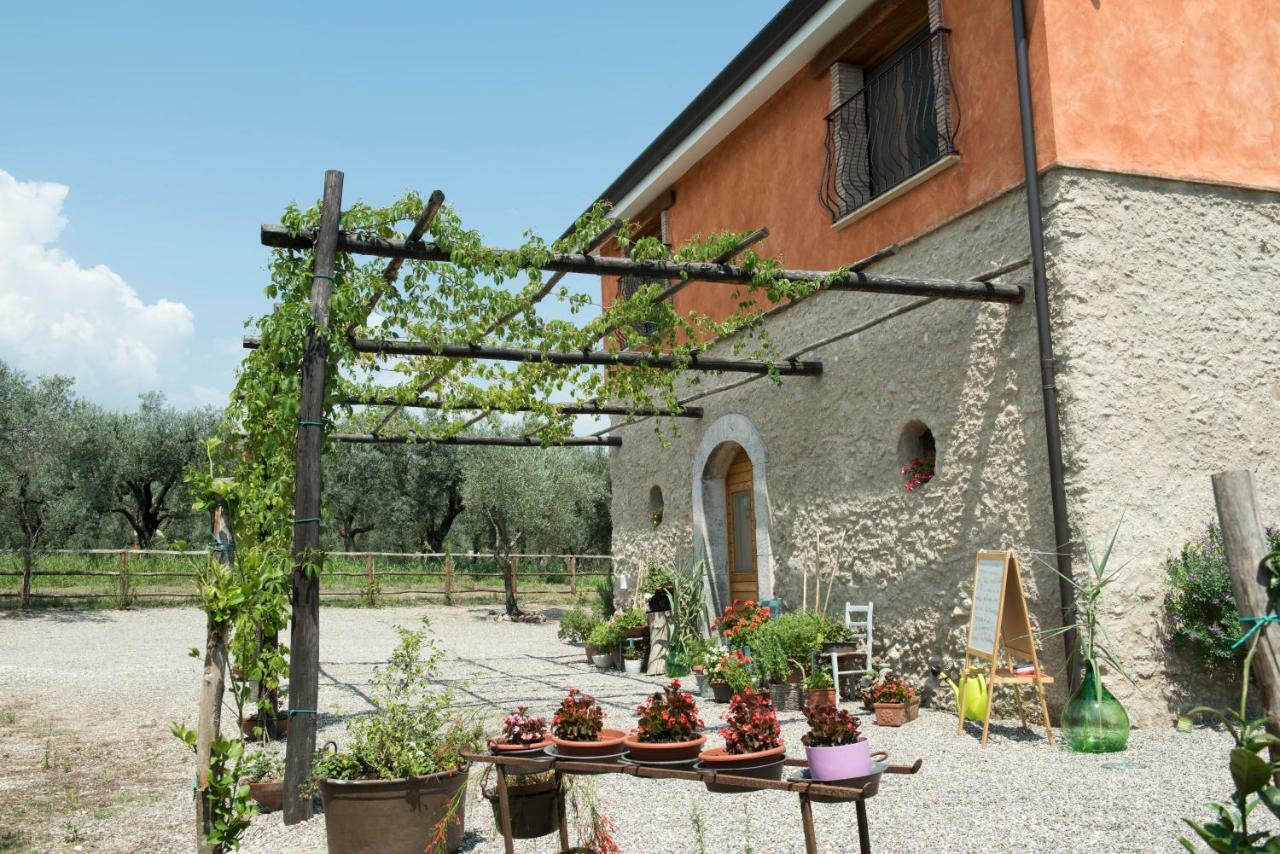 B&B Rifugio Tra Gli Ulivi Campagna Exterior foto