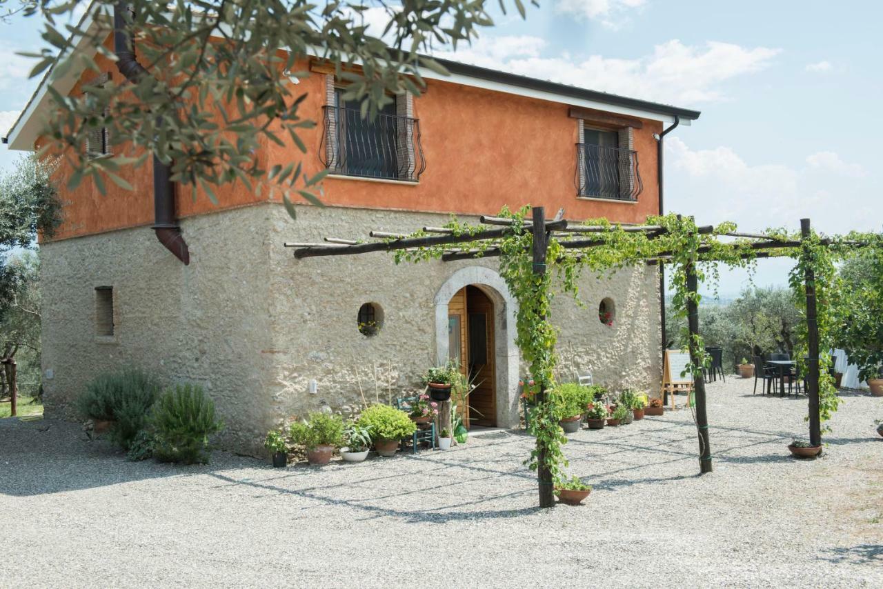 B&B Rifugio Tra Gli Ulivi Campagna Exterior foto